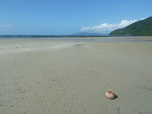 722-cape-tribulation-116-coconut-beach - kopie.jpg - Queensland